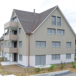 Mehrfamilienhaus in Birchwil